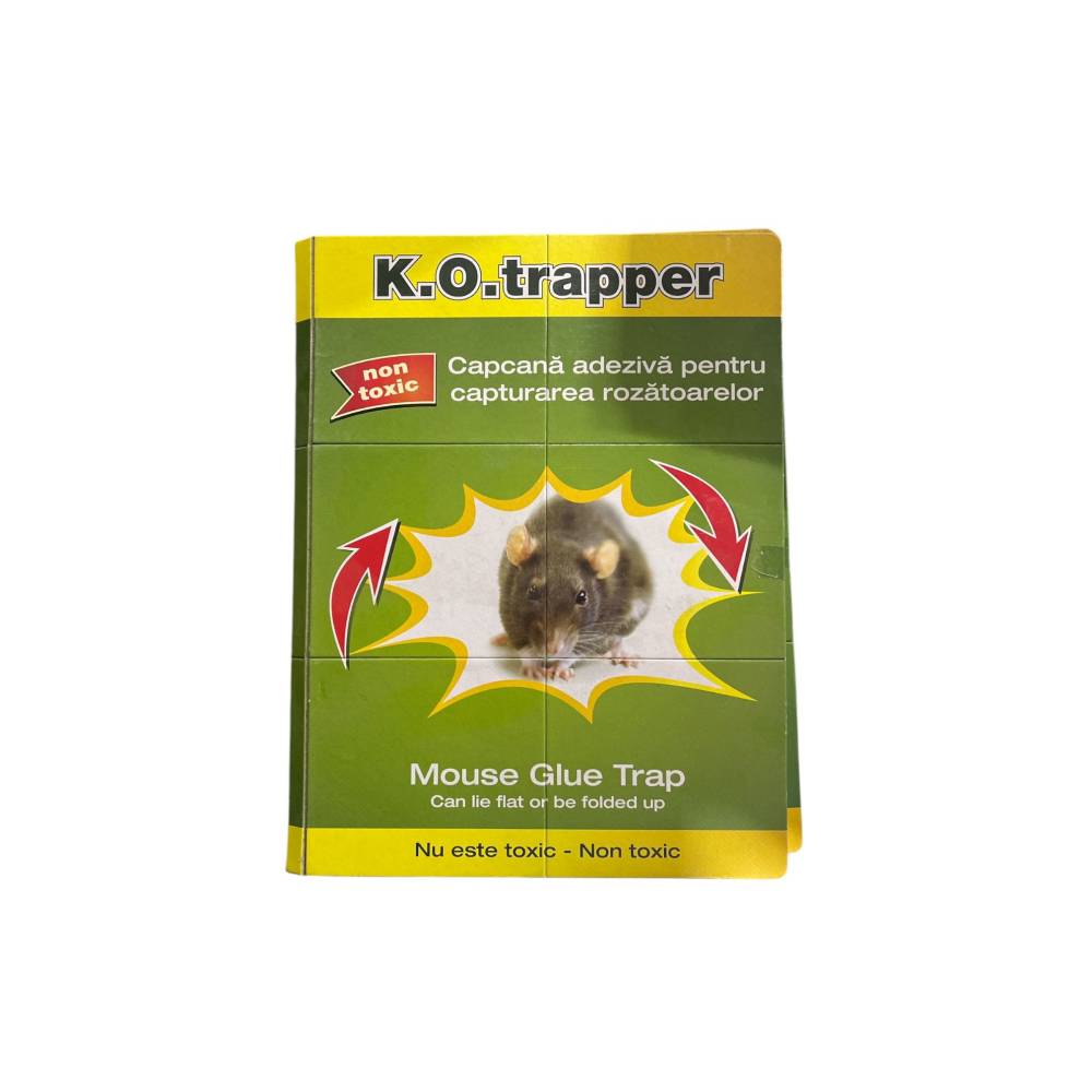 KO Trapper, capcana adeziva pentru rozatoare KO Trapper, capcana adeziva pentru rozatoare