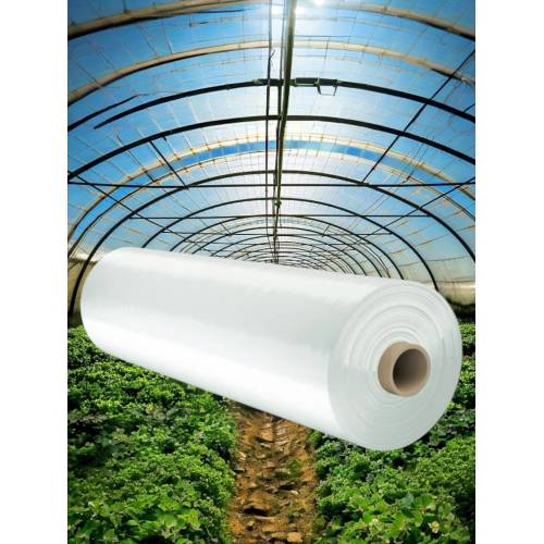 Folie profesionala solar 2x100m, 150 microni Folie profesionala solar 2x100m, 150 microni