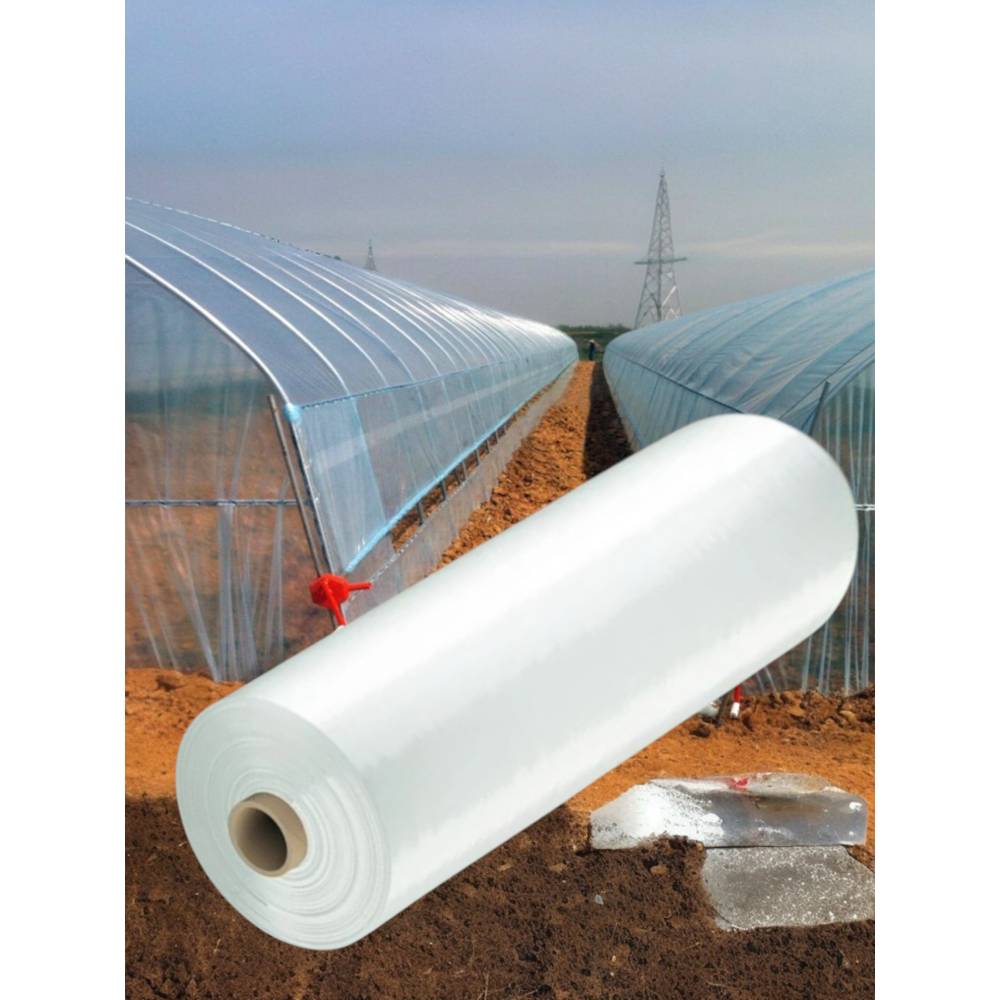 Folie pentru solar 150 microni 12.5m latime x 12m (L) Folie pentru solar 150 microni 12.5m latime x 12m (L)