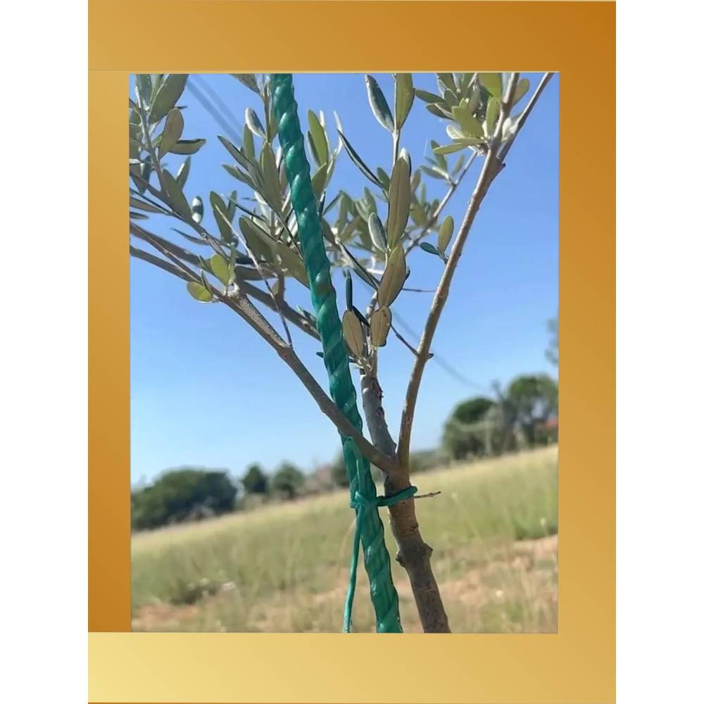 Set 10 x tija din fibra de sticla 1.7 metri, 4 mm grosime