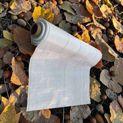 Agrotextil alb (folie antiburuieni)