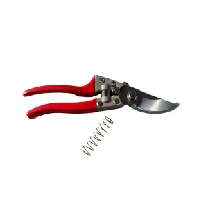 Foarfeca pomi 8 inch (crengi, vita de vie), din otel manuala cu doua arcuri