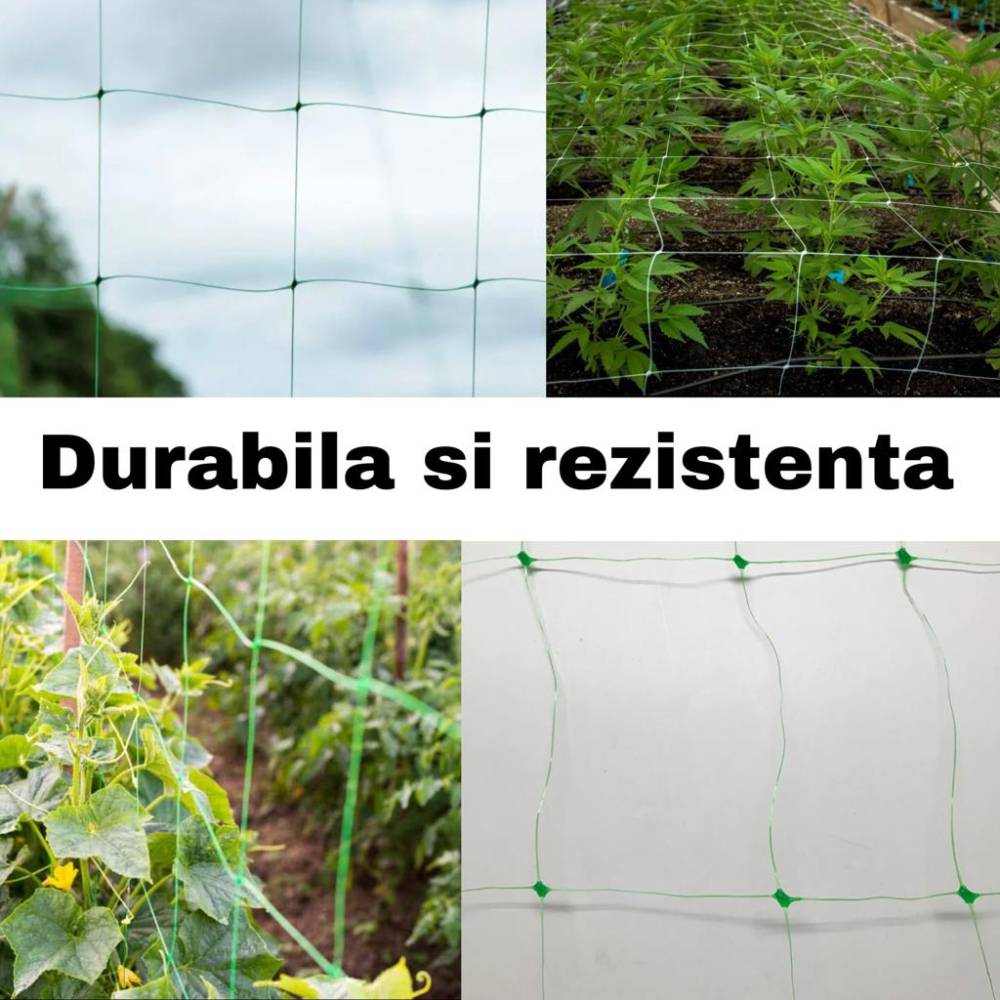 Plasa castraveti si legume 1.7m latime x 20m lungime Plasa castraveti si legume 1.7m latime x 20m lungime