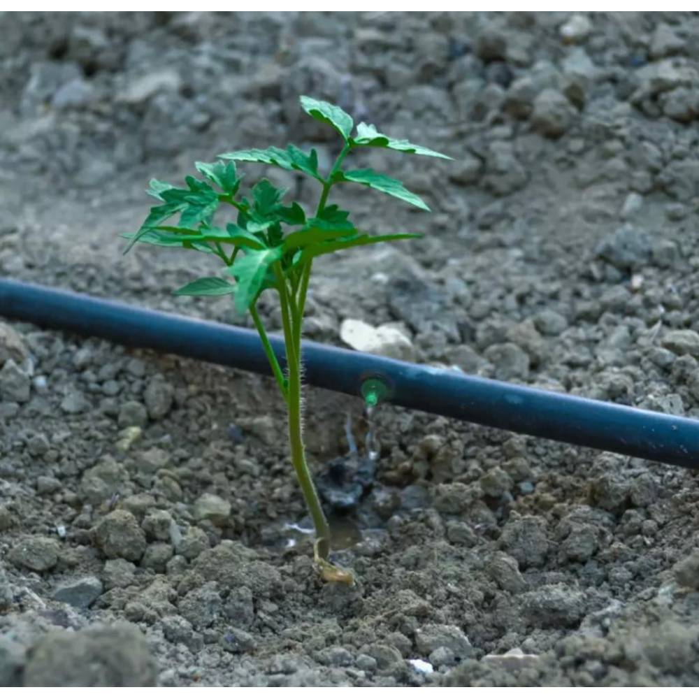 Duze picurare reglabile 2 litri/ora Aquaris premium, 1 buc Duze picurare reglabile 2 litri/ora Aquaris premium, 1 buc