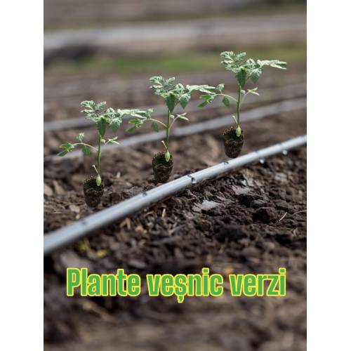 Kit irigare -Tub picurare 20cm/400m + 40 x Robinet pentru tub picurare + 40 x Garnitura cu umar + 40 x Dop pentru tub