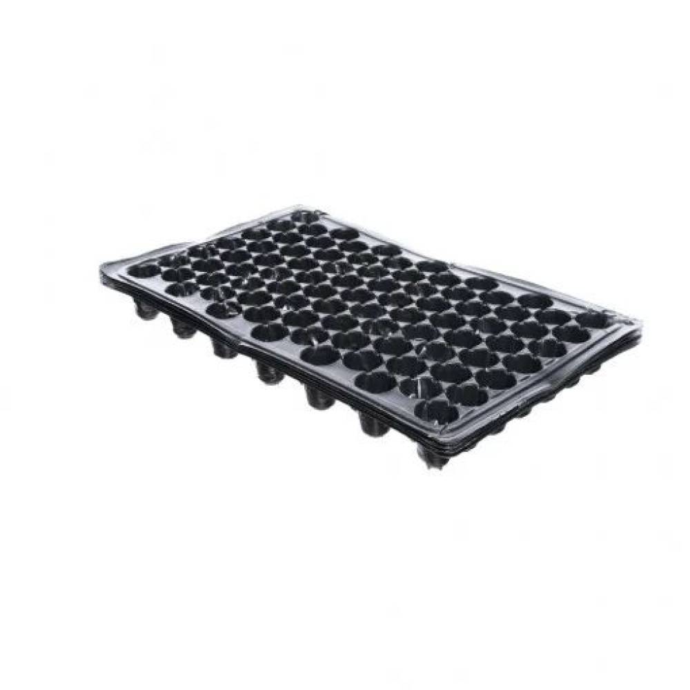 Alveole rasaduri (tavite rasaduri) 85 celule de semanat Alveole rasaduri (tavite rasaduri) 85 celule de semanat