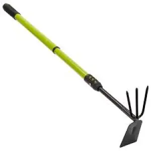 Sapaliga telescopica 