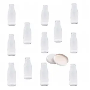 Borcane, sticla 250 ml x 12 + 12 x Capace