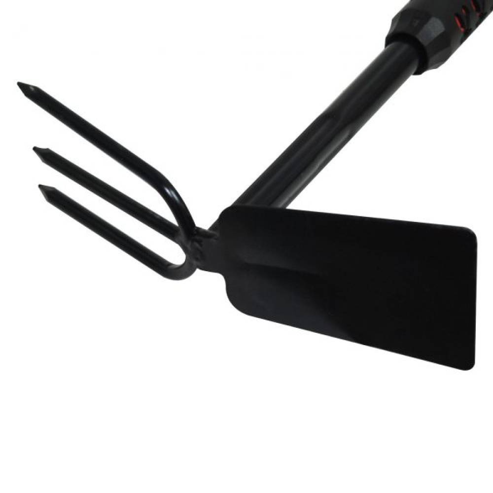 Sapaliga telescopica Sapaliga telescopica