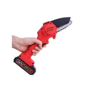 Mini drujba cu acumulator, 24V