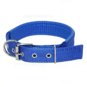 Zgarda / Curea pentru caini 2 cm