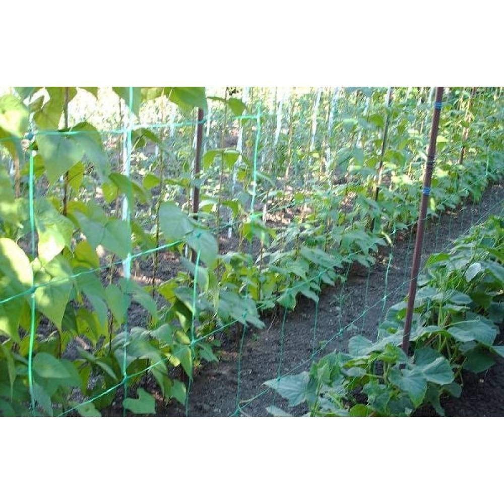 Plasa castraveti si legume 1.7m latime x 20m lungime Plasa castraveti si legume 1.7m latime x 20m lungime